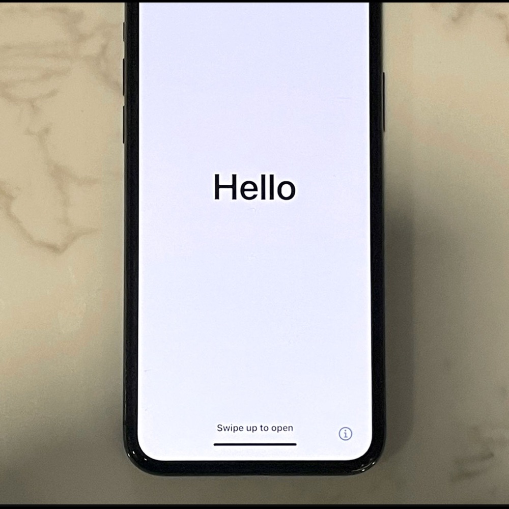 iPhone X